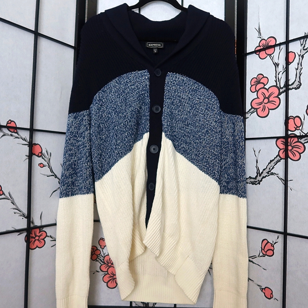 Express Blue and White Button Up Sweater Size Large